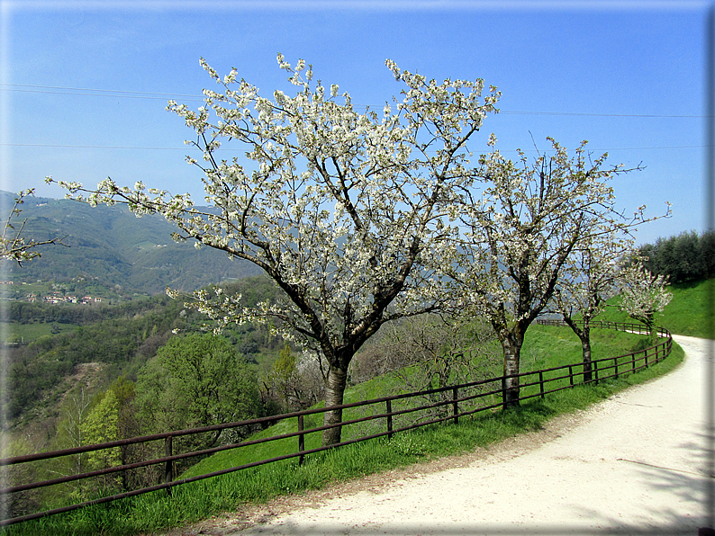 foto Colle San Benedetto